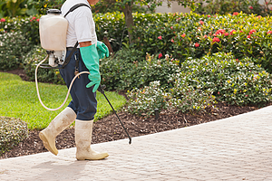 Outdoor Pest Control Services in Suffolk County, NY