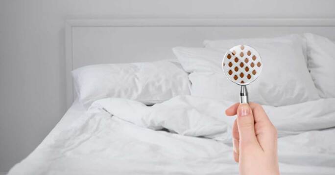 A magnifying glass focusing on a white bed and revealing bed bugs.