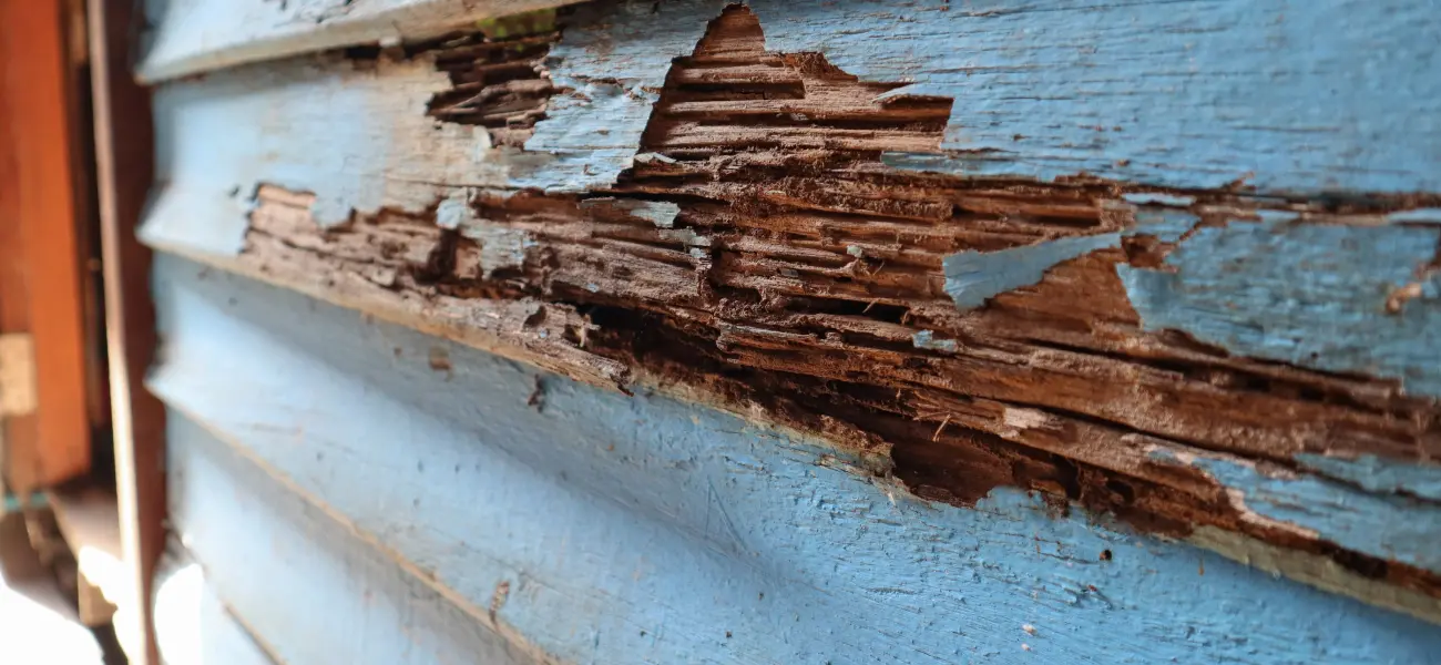 Badly damaged home exterior from termites