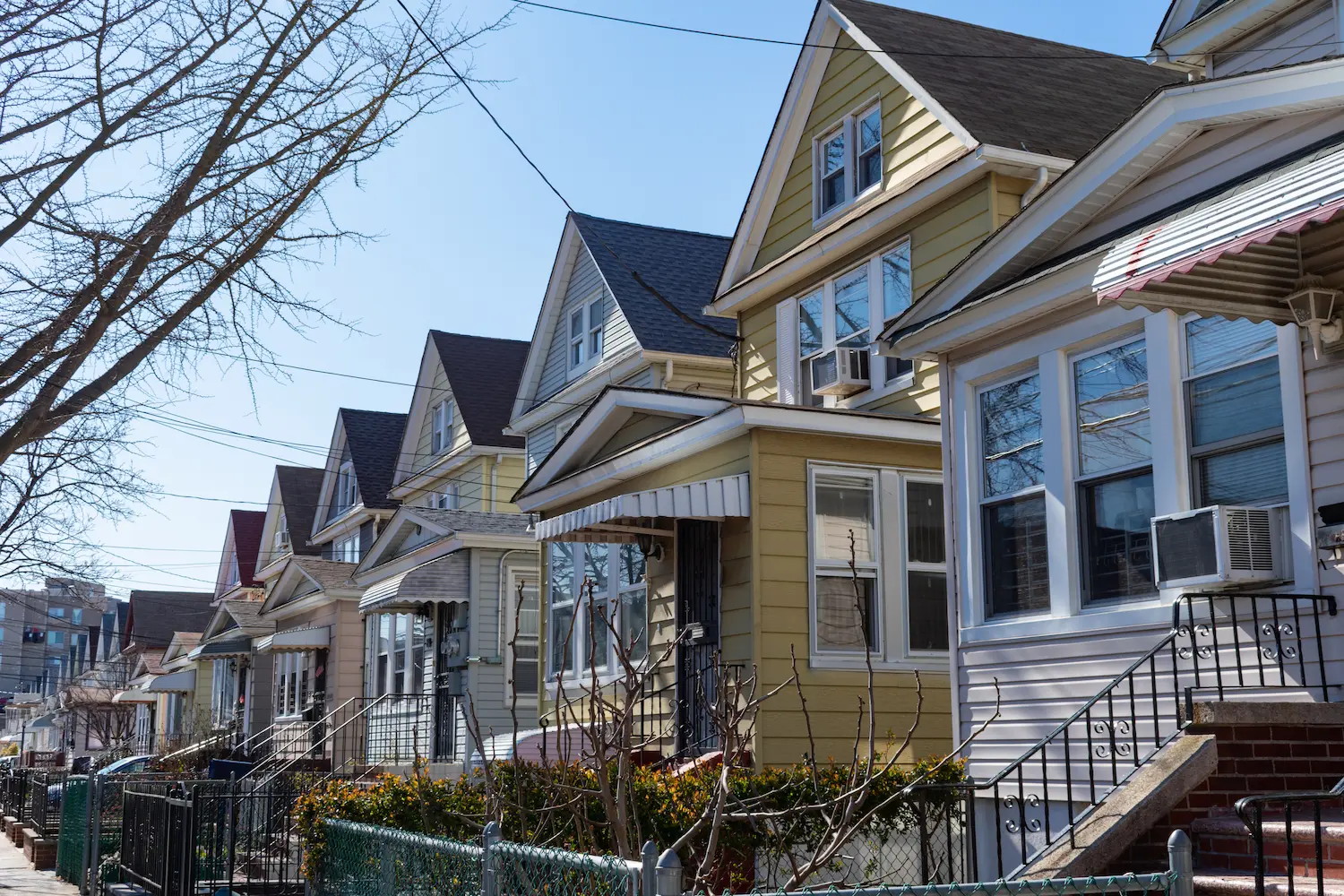 How to Ensure Successful Wildlife Control Service