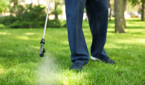 A Twin Forks Pest Control® technician sprays for pests in yard. Contact us Monday through Friday, 9:00 am to 5:00 pm.